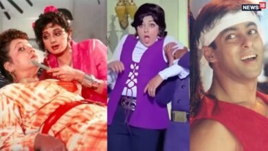 50 साल में बनी 5 ब्लॉकबस्टर फिल्में, जिनका कॉन्सैप्ट था सेम, हीरो-हीरोइन ने निभाए डबल रोल, 1 का सीक्वल भी बना