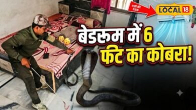 AC कमरे में सो रहे थे दो मासूम, तभी दिखा 6 फीट का कोबरा, ऐसे हुआ फिर रेस्क्यू