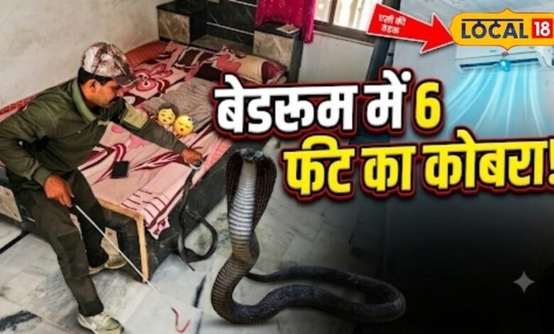 AC कमरे में सो रहे थे दो मासूम, तभी दिखा 6 फीट का कोबरा, ऐसे हुआ फिर रेस्क्यू