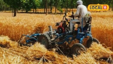 Agriculture News I karauli news I किसानों के लिए ‘कटाई एक्सप्रेस’ बनी रिपर मशीन, 30 मिनट में एक बीघा फसल