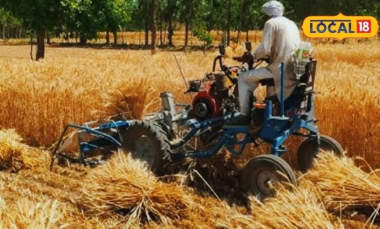 Agriculture News I karauli news I किसानों के लिए ‘कटाई एक्सप्रेस’ बनी रिपर मशीन, 30 मिनट में एक बीघा फसल