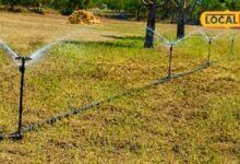 Agriculture News I खेती की लागत घटाने का आसान तरीका, माइक्रो स्प्रिंकलर पर सरकार दे रही अनुदान