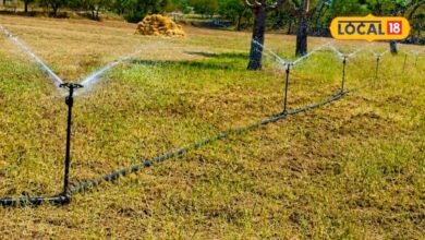 Agriculture News I खेती की लागत घटाने का आसान तरीका, माइक्रो स्प्रिंकलर पर सरकार दे रही अनुदान