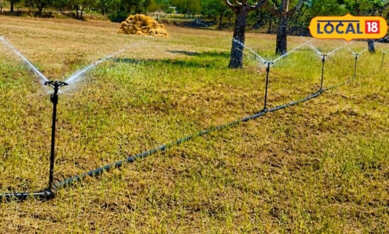 Agriculture News I खेती की लागत घटाने का आसान तरीका, माइक्रो स्प्रिंकलर पर सरकार दे रही अनुदान