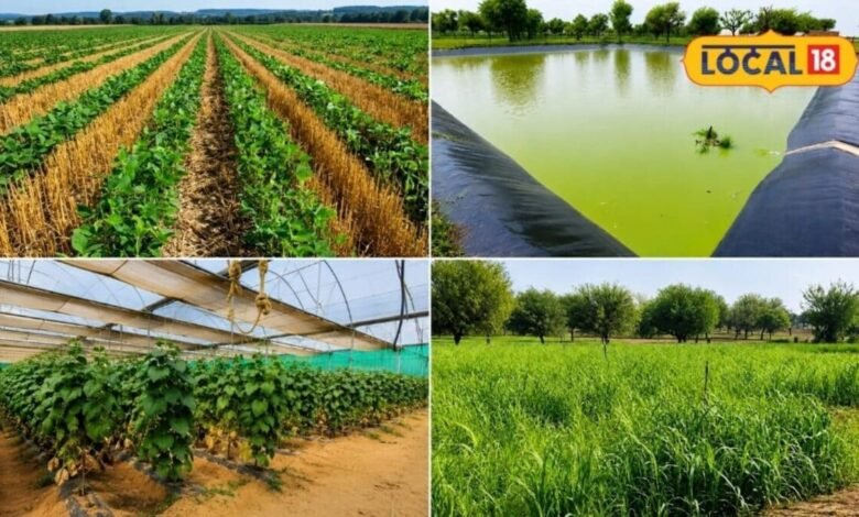 Agriculture: कम पानी में ज्यादा कमाई का फॉर्मूला, सरकार ने तैयार किए खेती के 5 नए मॉडल, किसानों की बढ़ेगी कमाई