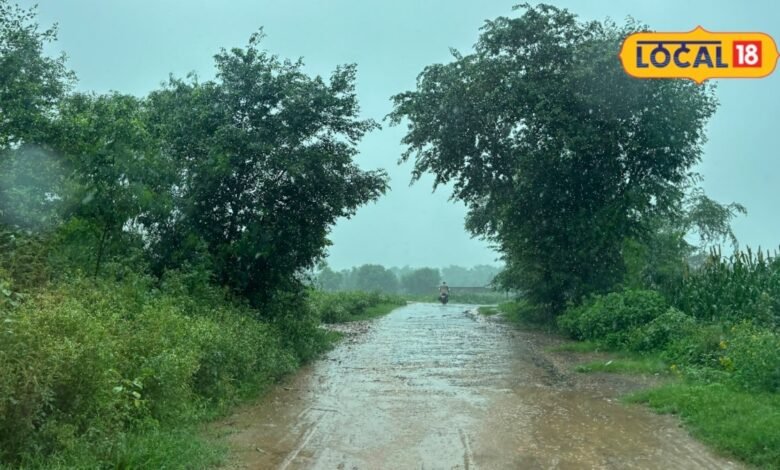 Alwar News: खैरथल-तिजारा में 68 नई सड़कों को मंजूरी, 111 किमी सड़क निर्माण पर खर्च होंगे 32.75 करोड़