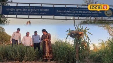 CAZRI Saltwater Farming Technology: खारा पानी बना कमाई का जरिया, रोहट के किसान अब उगाएंगे ड्रैगन फ्रूट और बेर