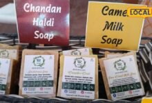 Camel Milk Soap Bikaner | ऊंटनी के दूध से बने साबुन की देशभर में बढ़ी मांग, जानें खासियत
