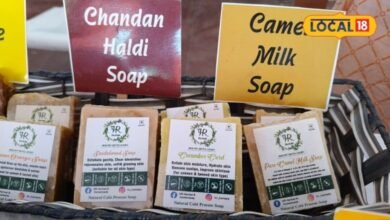 Camel Milk Soap Bikaner | ऊंटनी के दूध से बने साबुन की देशभर में बढ़ी मांग, जानें खासियत