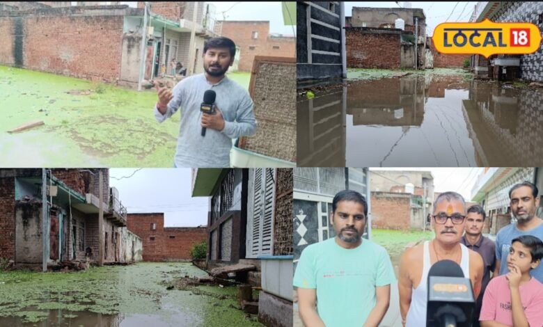 Dholpur News: साहब, हमें इस नर्क से निकालो, 5 साल से जलभराव में डूबी जगदंबा कॉलोनी, घरों में आई दरारें