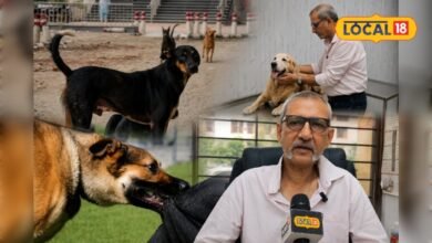 Ghaziabad News : क्या हीट पीरियड से बढ़ रहा कुत्तों का आंतक? गाजियाबाद के अस्पतालों में आई डॉग बाइट की बाढ़