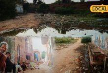 Ground Report | Karauli News