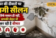 Health Tips I pali news I बाथरूम से बेडरूम तक! इन जगहों पर पनपती फंगस से रहें सावधान