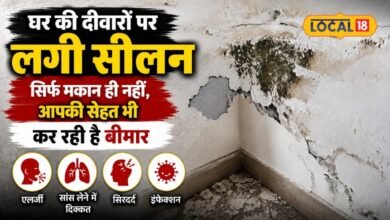 Health Tips I pali news I बाथरूम से बेडरूम तक! इन जगहों पर पनपती फंगस से रहें सावधान