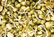 Healthy diet: जिम जाने वाले ही नहीं, हर उम्र के लोगों खाना चाहिए स्प्राउट्स, इम्यूनिटी होती है एक्टिव, बीमारी होती है दूर, एक्सपर्ट्स ने बताया राज
