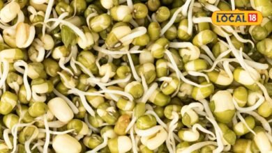 Healthy diet: जिम जाने वाले ही नहीं, हर उम्र के लोगों खाना चाहिए स्प्राउट्स, इम्यूनिटी होती है एक्टिव, बीमारी होती है दूर, एक्सपर्ट्स ने बताया राज