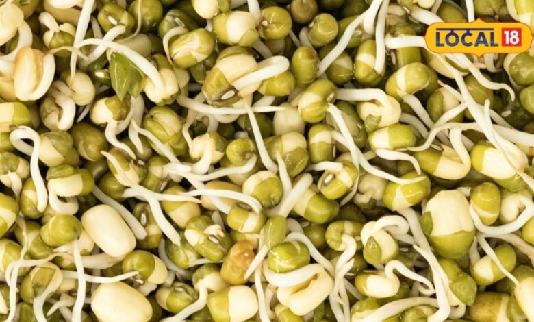 Healthy diet: जिम जाने वाले ही नहीं, हर उम्र के लोगों खाना चाहिए स्प्राउट्स, इम्यूनिटी होती है एक्टिव, बीमारी होती है दूर, एक्सपर्ट्स ने बताया राज