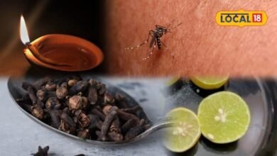 Home Remedy to Repel Mosquitoes | Easy Way to Repel Mosquitoes | मच्छर भगाने का देसी नुस्खा | मिट्टी के दीये से मच्छर कैसे भगाएं |