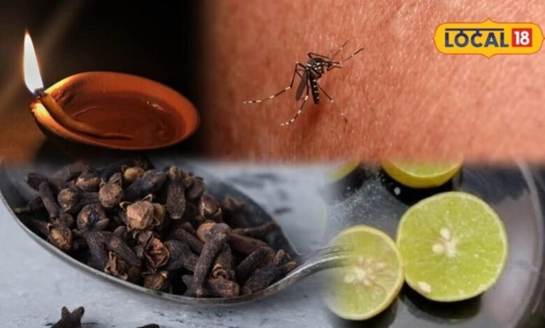 Home Remedy to Repel Mosquitoes | Easy Way to Repel Mosquitoes | मच्छर भगाने का देसी नुस्खा | मिट्टी के दीये से मच्छर कैसे भगाएं |