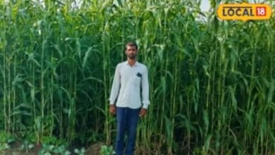 Innovative Farming Jodhpur Farmer Income 15 Lakh | जोधपुर किसान सुमेरसिंह नवाचार
