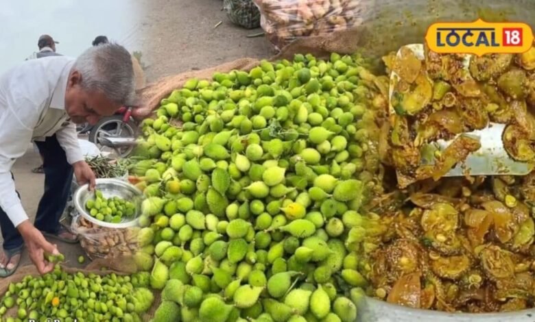 Kankeda Vegetable Benefits | पाली की मंडियों में छाई देशी 'सुपर सब्जी' कंकेड़ा