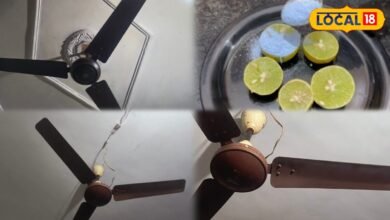 Kitchen Fan Cleaning Tips | How to Clean Fans During the Monsoon | बरसात में पंखा कैसे साफ करें | किचन फैन क्लीनिंग टिप्स |