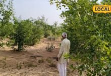 Rajasthan Atma Scheme | Rajasthan Atma Scheme Farmers Award | किसानों को मिलेगा 50 हजार का पुरस्कार, 31 अगस्त तक करें आवेदन
