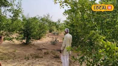 Rajasthan Atma Scheme | Rajasthan Atma Scheme Farmers Award | किसानों को मिलेगा 50 हजार का पुरस्कार, 31 अगस्त तक करें आवेदन