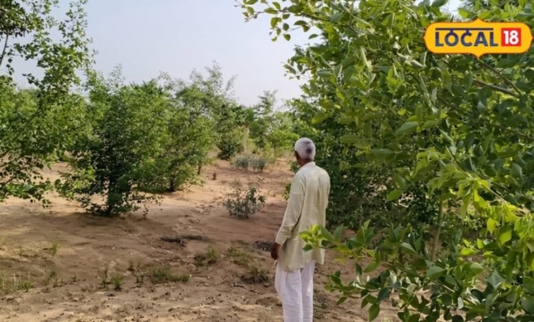 Rajasthan Atma Scheme | Rajasthan Atma Scheme Farmers Award | किसानों को मिलेगा 50 हजार का पुरस्कार, 31 अगस्त तक करें आवेदन
