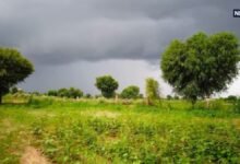 राजस्थान में कल कैसा रहेगा मौसम? 29 अगस्त को इन जगहों पर होगी बारिश