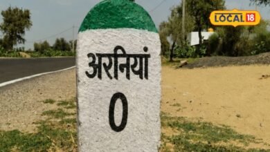 Sikar News: 250 साल पहले पेड़ के नीचे बसा अरनियां, आज दूध, फर्नीचर और आधुनिक खेती से बनाई खास पहचान