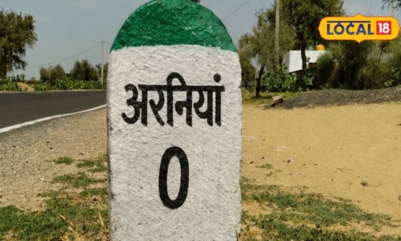 Sikar News: 250 साल पहले पेड़ के नीचे बसा अरनियां, आज दूध, फर्नीचर और आधुनिक खेती से बनाई खास पहचान