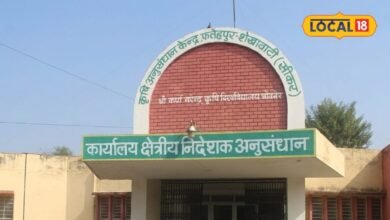 Sikar News I बदलते मौसम में बागवानी का नया दांव, शेखावाटी में खजूर की होगी जांच