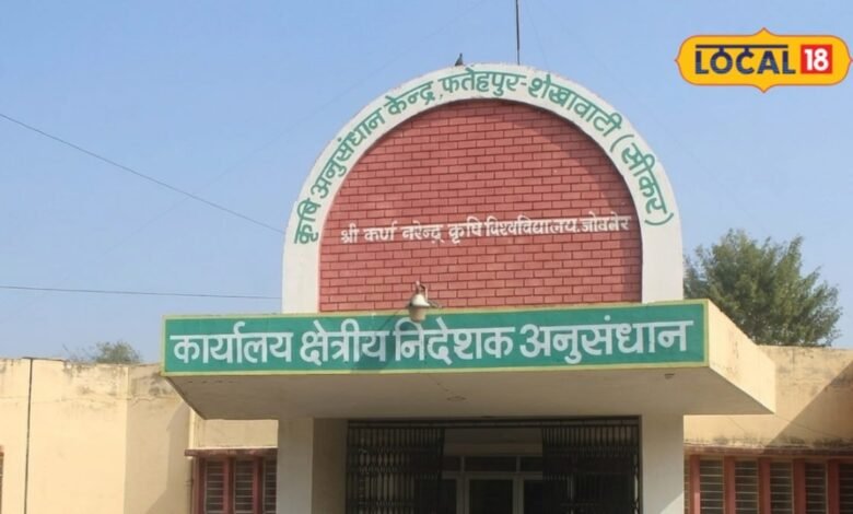 Sikar News I बदलते मौसम में बागवानी का नया दांव, शेखावाटी में खजूर की होगी जांच