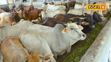 Sikar News | Rajasthan Yojana