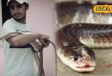 Snake Bite News : क्या सच में सांप को मारने के बाद परिवार से बदला लेता है? एक्सपर्ट ने बताया पूरा सच