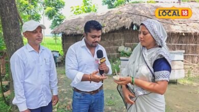 Success Story: गांव में कमाल कर रही सुमन देवी, मशरूम पाउडर से सालाना कमा रही 7 लाख रुपये, जानें कहानी