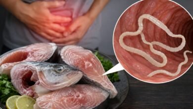 Tapeworms in Fish: सावधान! बारिश में खाई ये 6 मछलियां तो शरीर में पहुंच सकता है 30 फीट लंबा टेपवर्म