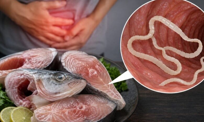 Tapeworms in Fish: सावधान! बारिश में खाई ये 6 मछलियां तो शरीर में पहुंच सकता है 30 फीट लंबा टेपवर्म