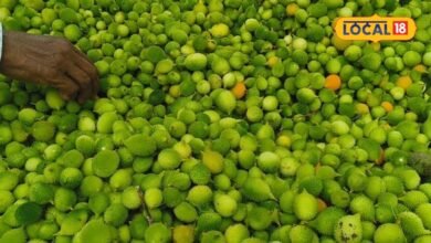 kantola | kantola vegetable | kantola Sabji | बाजार में 200 रुपये किलो मिलती है वजन कम करने वाली ये सब्जी, कोलेस्ट्रॉल और ब्लड प्रेशर को करता कंट्रोल
