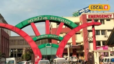 अंबाला में क्यों बढ़ रहे वायरल बुखार के इतने मरीज? ये गलतियां पड़ रहीं भारी