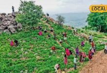 अरावली पर्वत पर पत्थरों से बनते हैं मन्नतों के घर