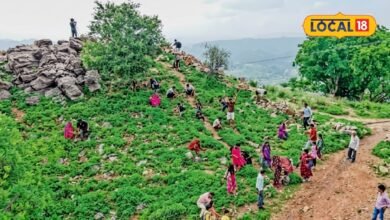 अरावली पर्वत पर पत्थरों से बनते हैं मन्नतों के घर