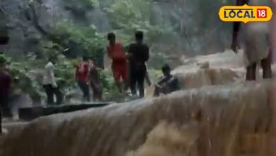 अलवर में मानसून का जादू, अरावली की वादियां बनीं स्वर्ग, किशन कुंड पर उमड़ा जनसैलाब
