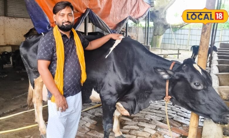 कोरोना में छूटी नौकरी तो शुरू की डेयरी फार्मिंग, गौपालन से असरार कमा रहे 10 लाख, बने रोल मॉडल