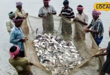 खेती के साथ शुरू करें मछली पालन का बिजनेस, सरकार दे रही सब्सिडी, सालाना होगी लाखों की कमाई – News18 हिंदी