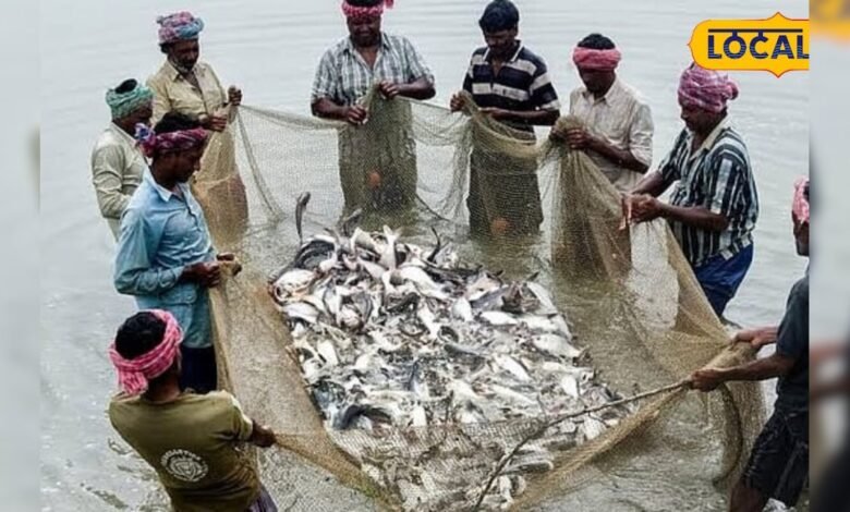 खेती के साथ शुरू करें मछली पालन का बिजनेस, सरकार दे रही सब्सिडी, सालाना होगी लाखों की कमाई – News18 हिंदी
