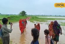'घुटने तक पानी से स्कूल जाते हैं, कई बार गिरने से भीग जाती हैं किताबें', चित्रकूट के बच्चों का अनोखा प्रदर्शन