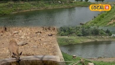 पाली में गहराया जल संकट, 'जूना मालारी' बांध सूखा, पानी की तलाश में आबादी की ओर रूख कर सकते हैं वन्यजीव