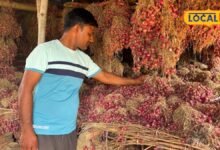 प्याज की खेती करने वाले किसानों के लिए बड़ी खबर, 15 अगस्त के बाद भी क्यों रुकी बुवाई? सामने आई वजह